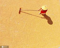 初秋时节 重庆酉阳村民晾晒玉米忙