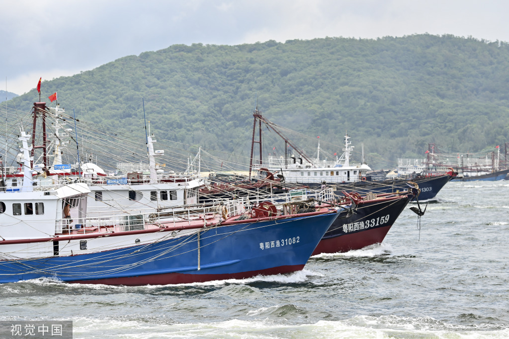 南海开渔 广东闸坡渔港千帆竞发