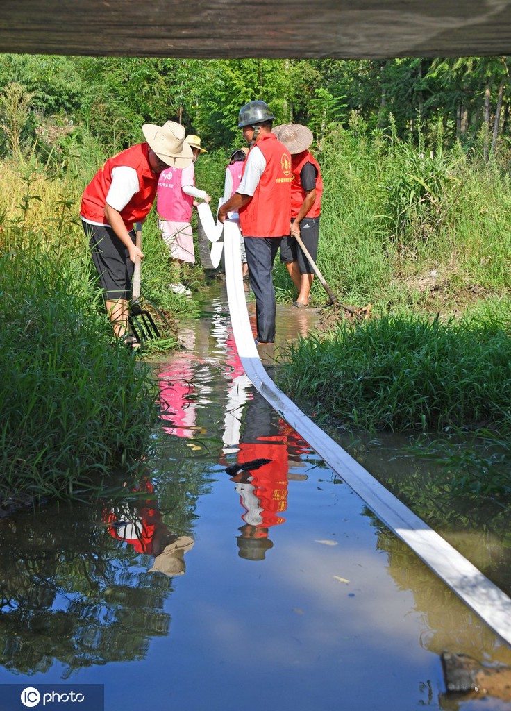 高温持续 浙江仙居全力抗旱保丰收
