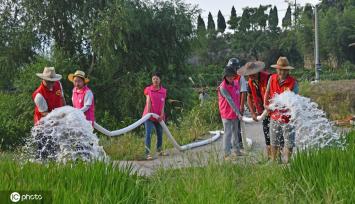 高温持续 浙江仙居全力抗旱保丰收