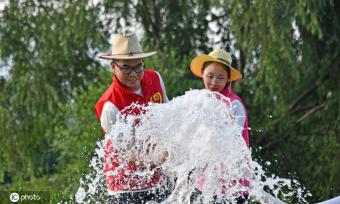 高温持续 浙江仙居全力抗旱保丰收