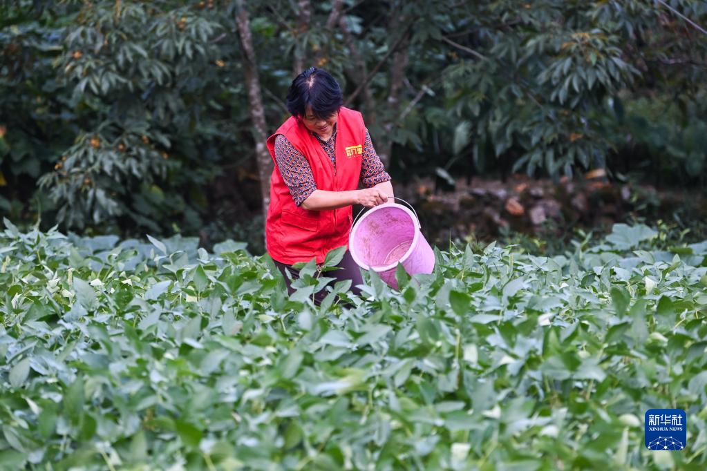 山乡抗旱先锋队 助农抗旱保生产