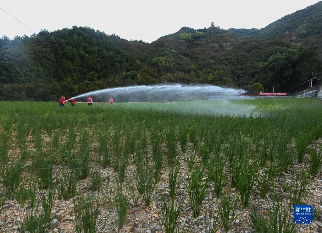 山乡抗旱先锋队 助农抗旱保生产