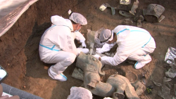 三星堆迄今最大神兽出土：头上有人 胸口有树