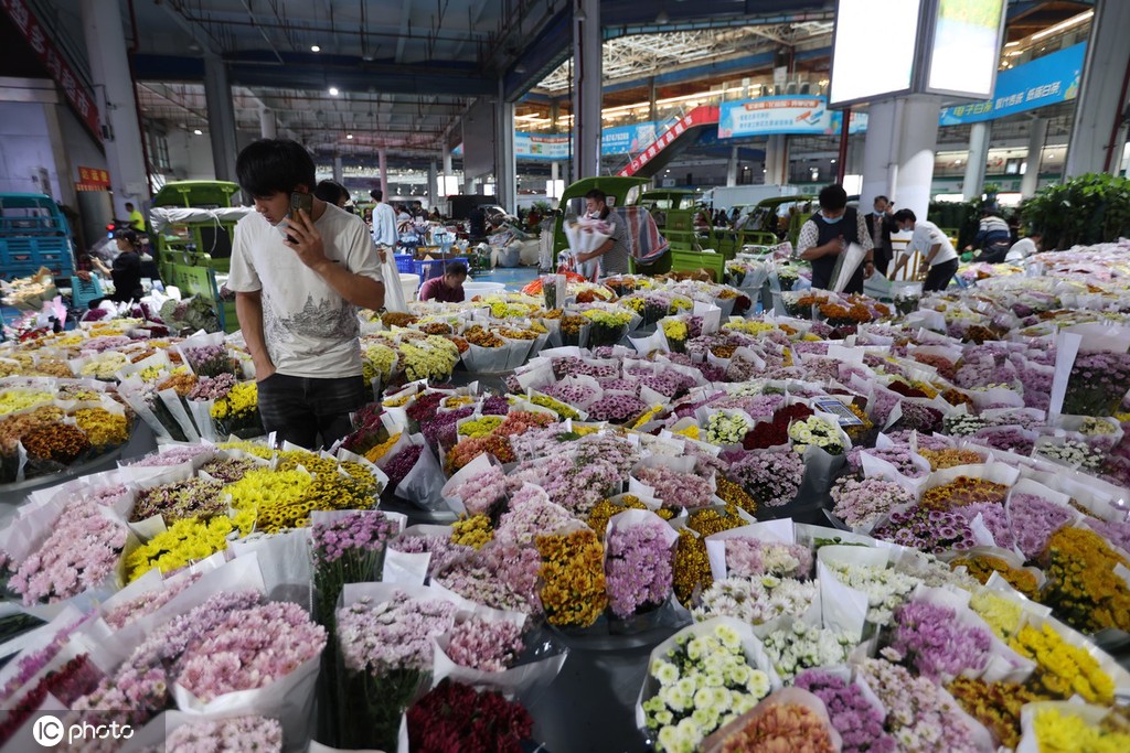 昆明斗南花市点亮“夜经济” 成打卡新热门地