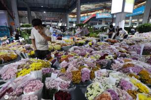 昆明斗南花市点亮“夜经济” 成打卡新热门地