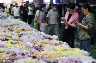 昆明斗南花市点亮“夜经济” 成打卡新热门地