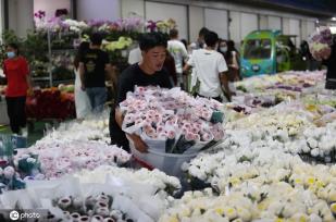 昆明斗南花市点亮“夜经济” 成打卡新热门地