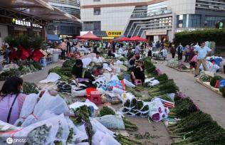 昆明斗南花市点亮“夜经济” 成打卡新热门地