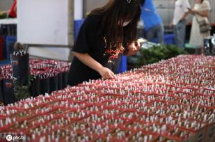 昆明斗南花市点亮“夜经济” 成打卡新热门地