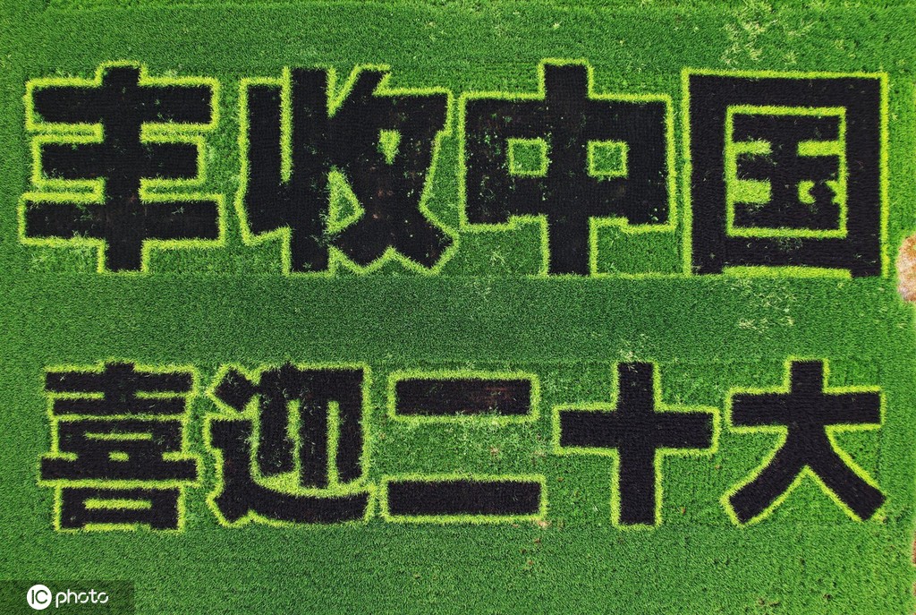 
中国人民解放军总医院黄牛票贩子代挂号,住院检查加快“丰收中国 喜迎二十大”巨幅彩稻画亮相杭州