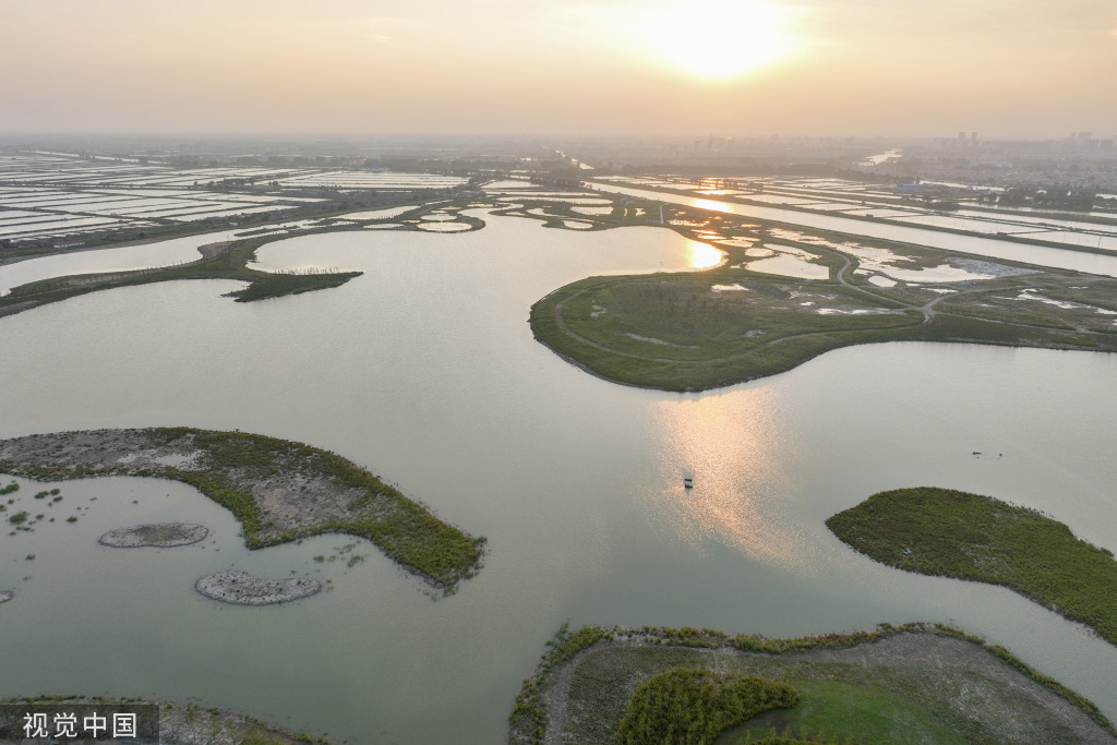 江苏连云港：“白鹭”湿地公园风景秀丽