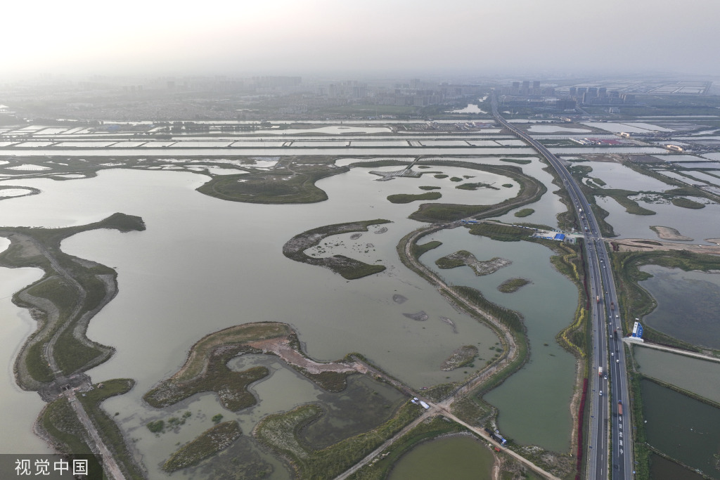 江苏连云港：“白鹭”湿地公园风景秀丽