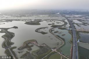 江苏连云港：“白鹭”湿地公园风景秀丽