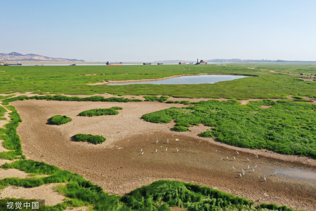 江西庐山：鄱阳湖千年石岛“水落墩出”