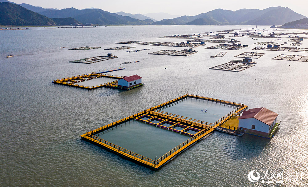 浙江象山：绿色网箱助推生态富民