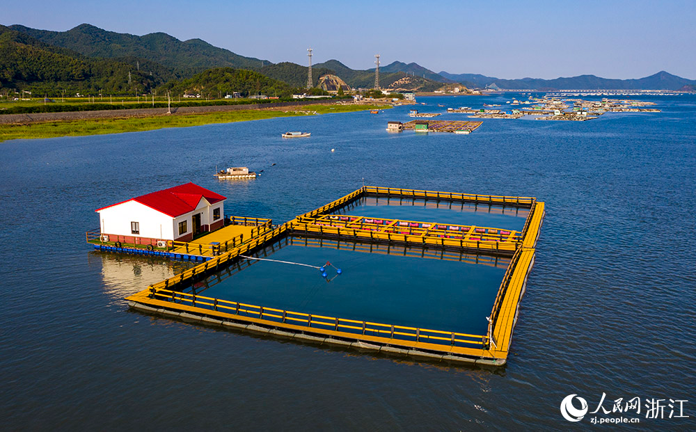浙江象山：绿色网箱助推生态富民
