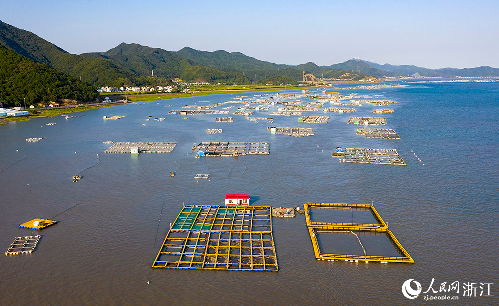 浙江象山：绿色网箱助推生态富民