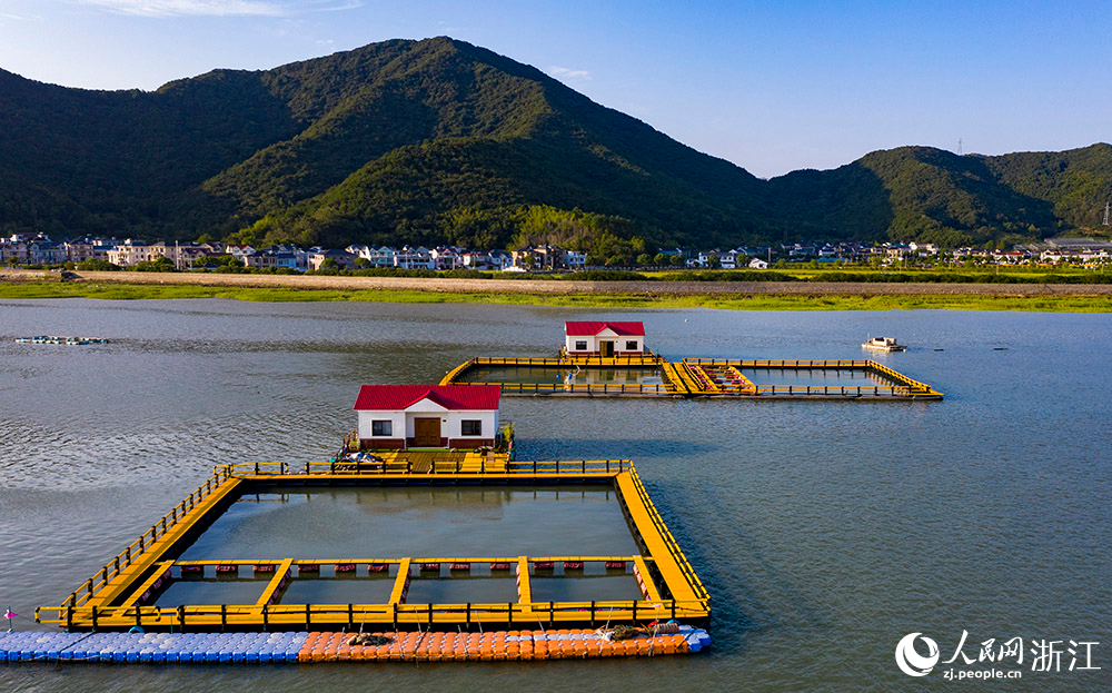 浙江象山：绿色网箱助推生态富民