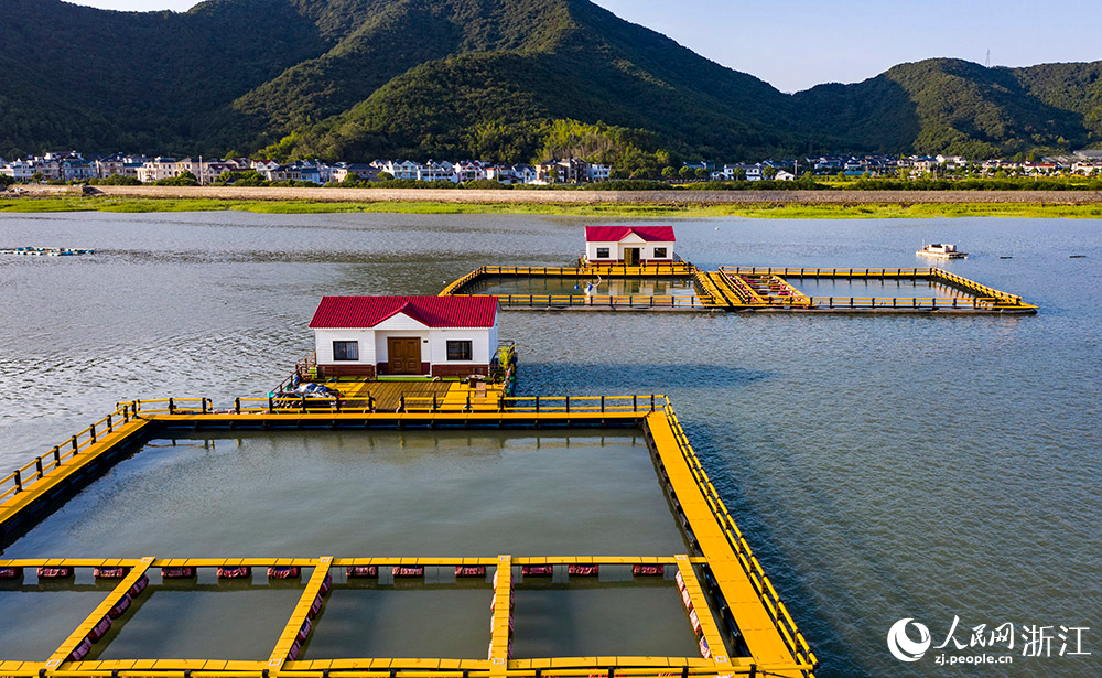 浙江象山：绿色网箱助推生态富民