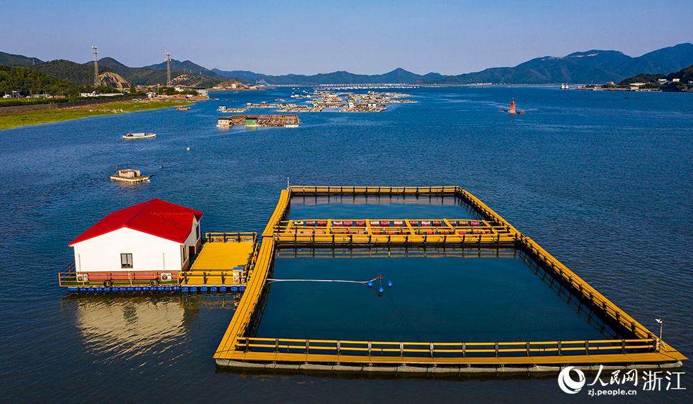 浙江象山：绿色网箱助推生态富民
