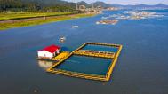 浙江象山：绿色网箱助推生态富民