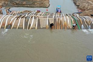 鄱阳湖畔多举措供水抗旱 保障粮食生产