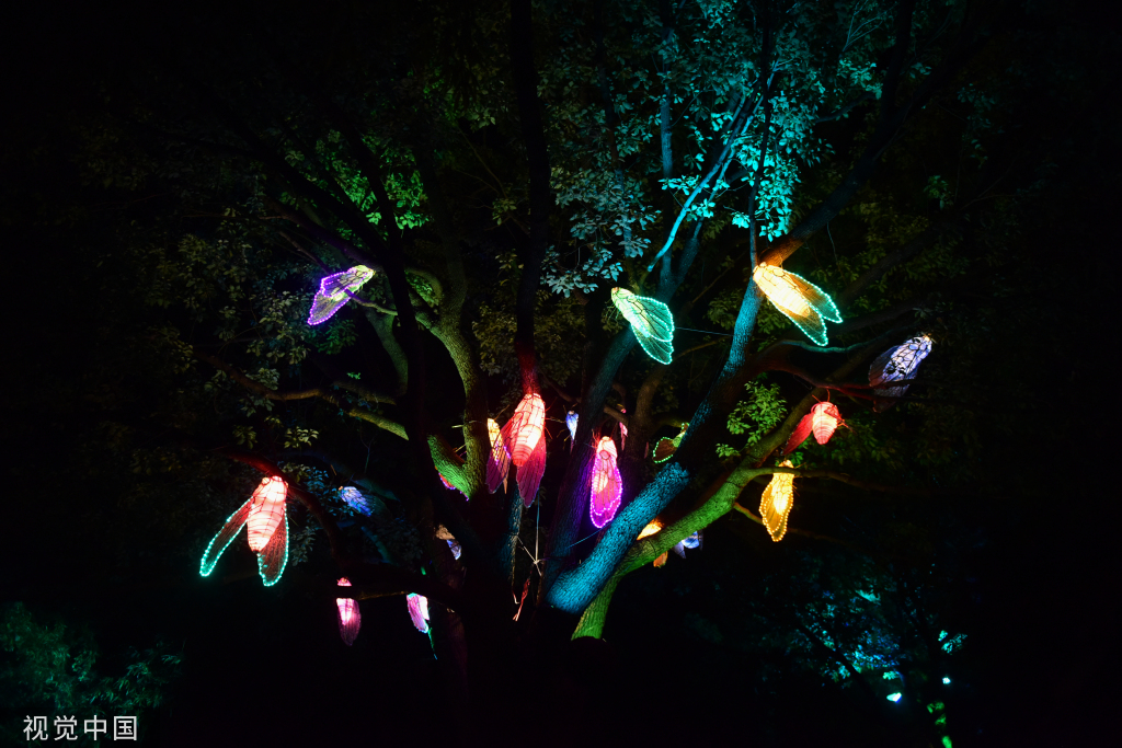 苏州中秋灯会点亮周庄古镇夜色