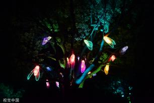 苏州中秋灯会点亮周庄古镇夜色