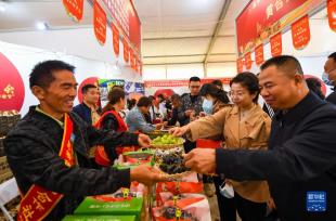 内蒙古举行“中国农民丰收节”庆祝活动