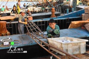山东青岛：秋捕丰收鱼满仓