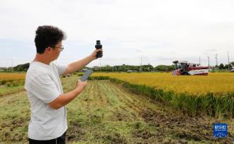 沪郊农业：新技术助力保丰收