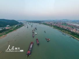 广西梧州：西江黄金水道货运忙