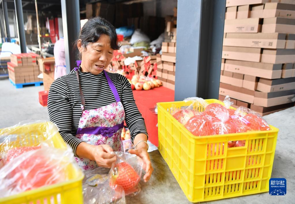 
长春吉大二院黄牛代挂号电话票贩子号贩子网上预约挂号,住院检查加快,陕西临潼：传统石榴产区焕发新活力