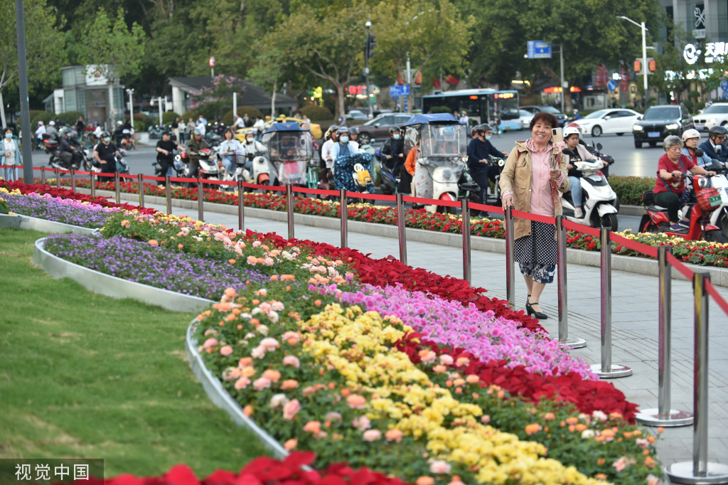 南京：鲜花扮靓中心环岛 国庆氛围浓郁