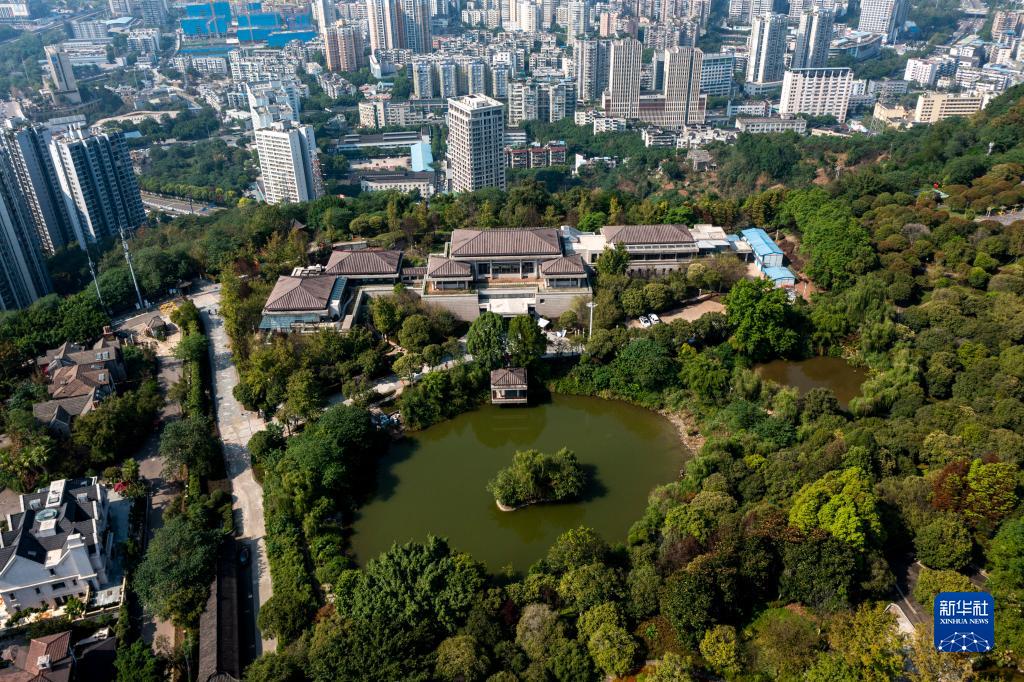 重庆江北：森林公园里的公共图书馆正式开馆　
