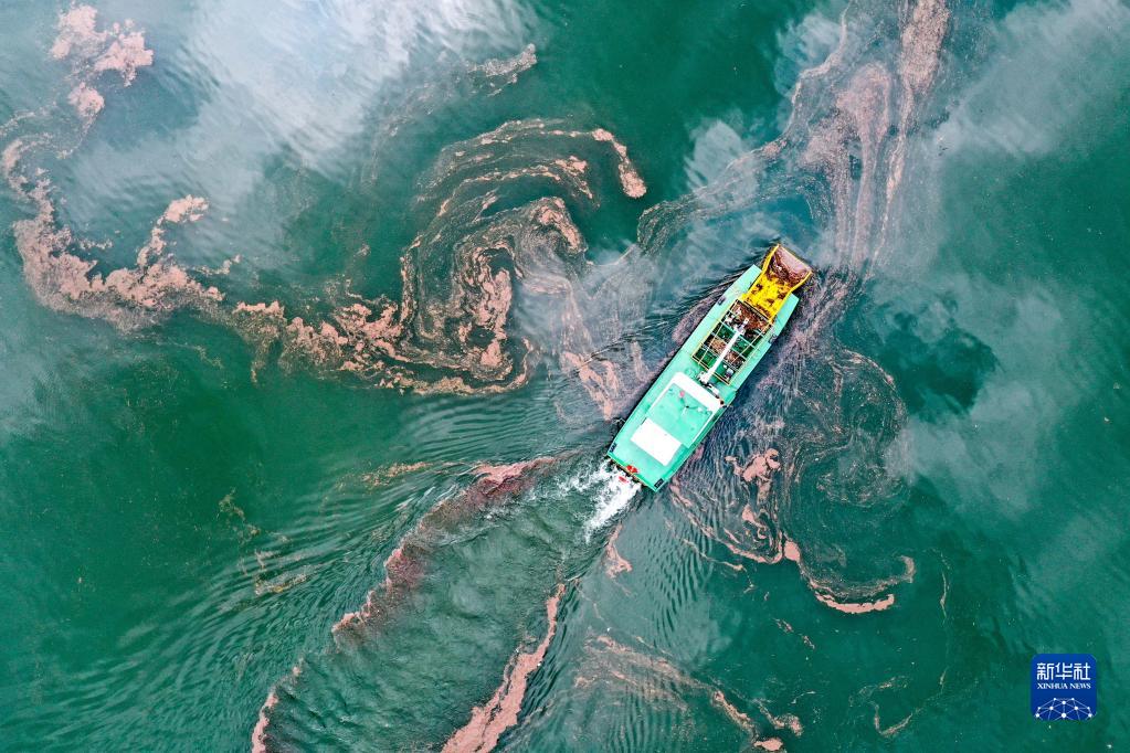 贵州：绿色发展闯新路