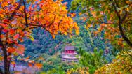 山西平陆：大河庙水库秋意渐浓