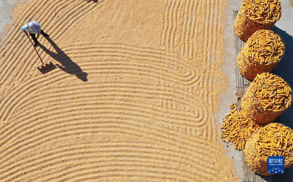 我们的田野——最美秋色是丰收