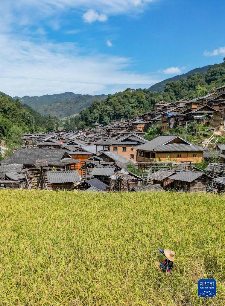 我们的田野——最美秋色是丰收