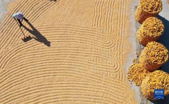 我们的田野——最美秋色是丰收