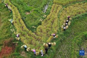 我们的田野——最美秋色是丰收