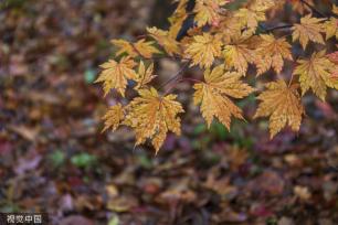 辽宁本溪迎降雪 雪中关门山景区景色独特