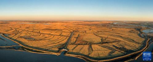 吉林西部：昔日盐碱地 今朝丰收田