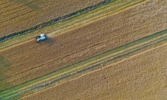 秦岭脚下200亩稻田遍野金黄 收割景象一片繁忙