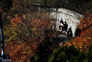 北京香山红叶进入观赏季 吸引游客打卡拍照