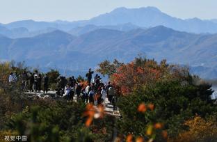 北京香山红叶进入观赏季 吸引游客打卡拍照