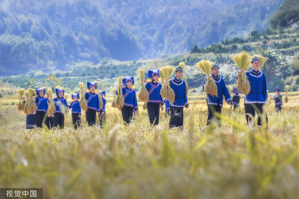 
首都医科大学附属天坛医院黄牛代挂号电话票贩子号贩子网上预约挂号,住院检查加快,广西百色：德保村民欢聚庆丰收 展示壮家稻作“那”文化