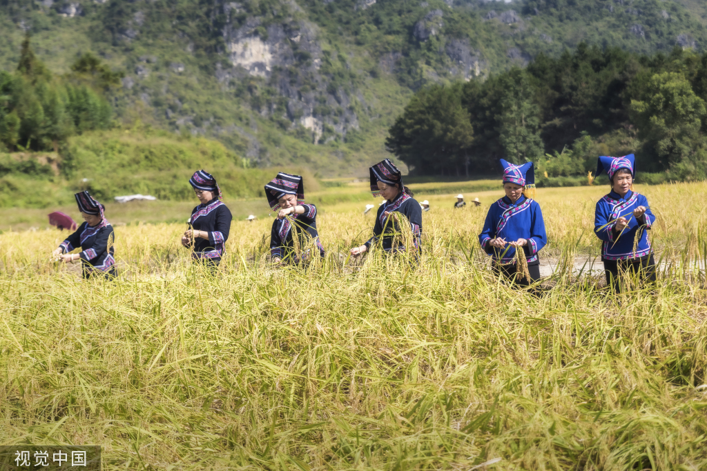 
首都医科大学附属天坛医院黄牛代挂号电话票贩子号贩子网上预约挂号,住院检查加快,广西百色：德保村民欢聚庆丰收 展示壮家稻作“那”文化