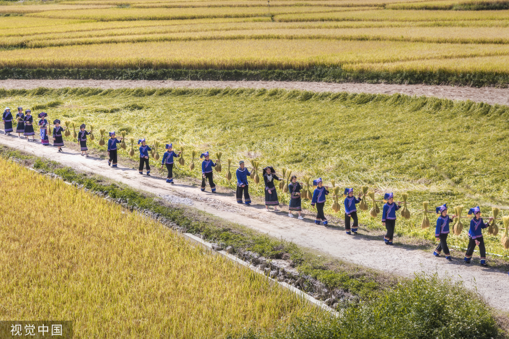 
首都医科大学附属天坛医院黄牛代挂号电话票贩子号贩子网上预约挂号,住院检查加快,广西百色：德保村民欢聚庆丰收 展示壮家稻作“那”文化